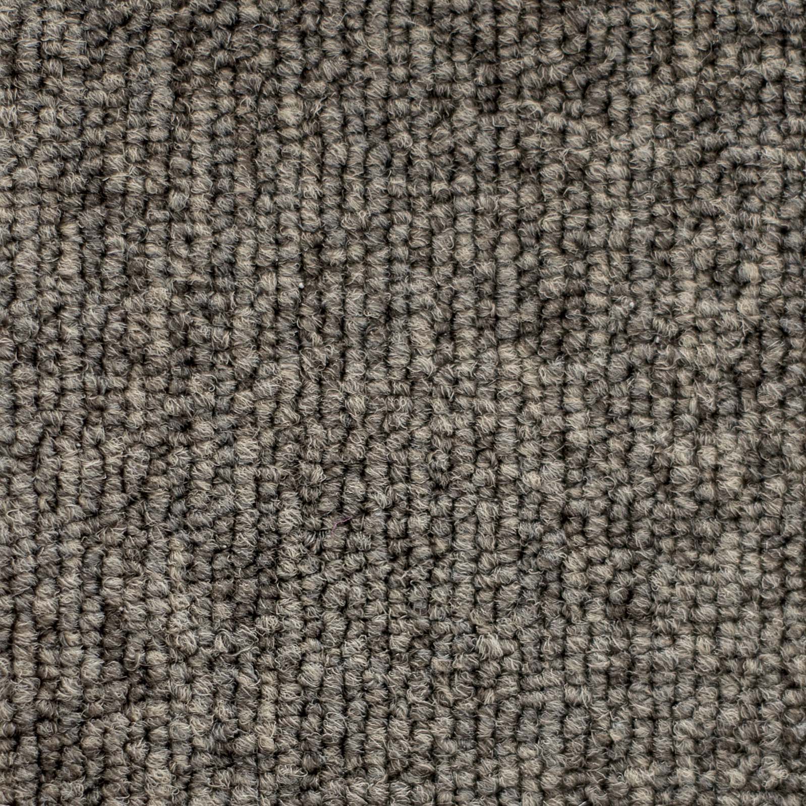 Ковролин "Зартекс" Daily 68 коричневый (4м) — купить в Белгороде