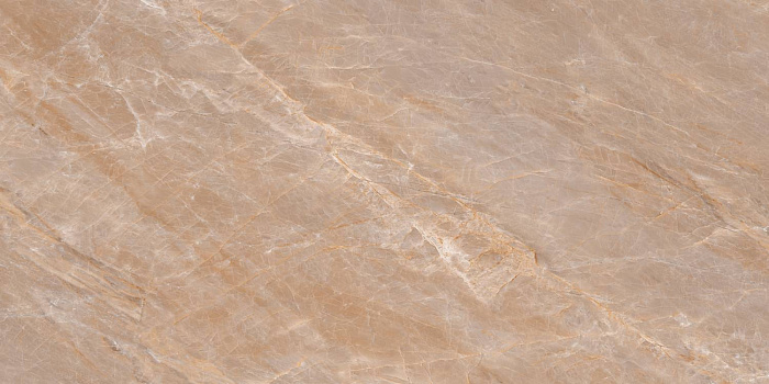 Керамогранит "Wan Sheng" Lande (1200*600 мм) Коричневый — купить в Белгороде