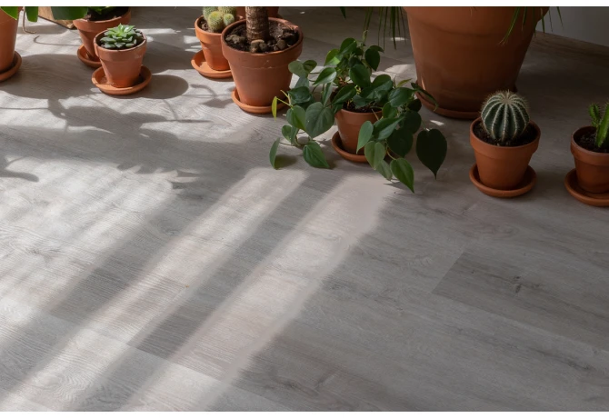 SPC ламинат Дуб Ален (1220*181*3,7 мм) — купить в Белгороде