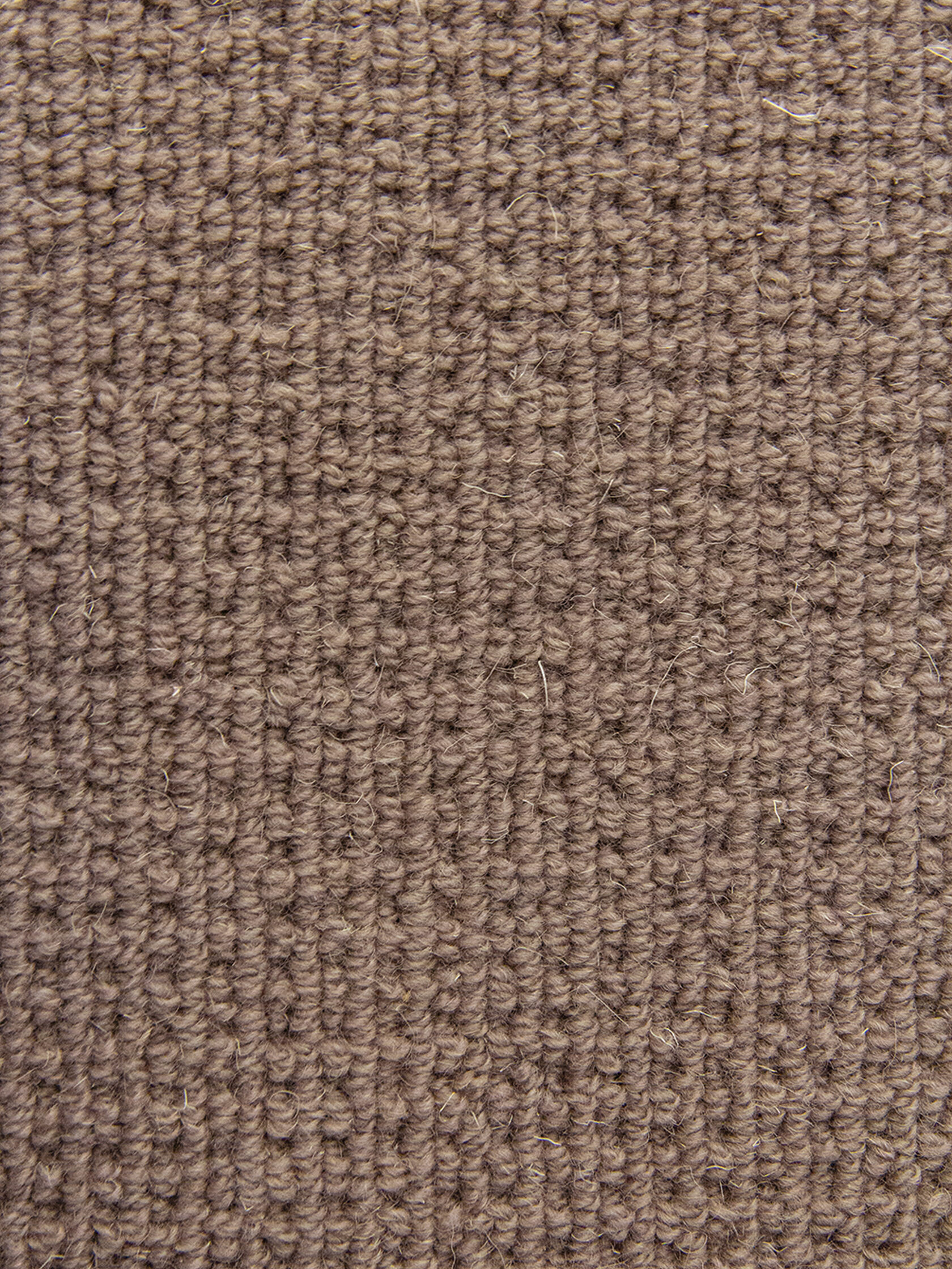 Ковровое покрытие "Bonkeel" Welfare Brown (ширина 4м) — купить в Белгороде