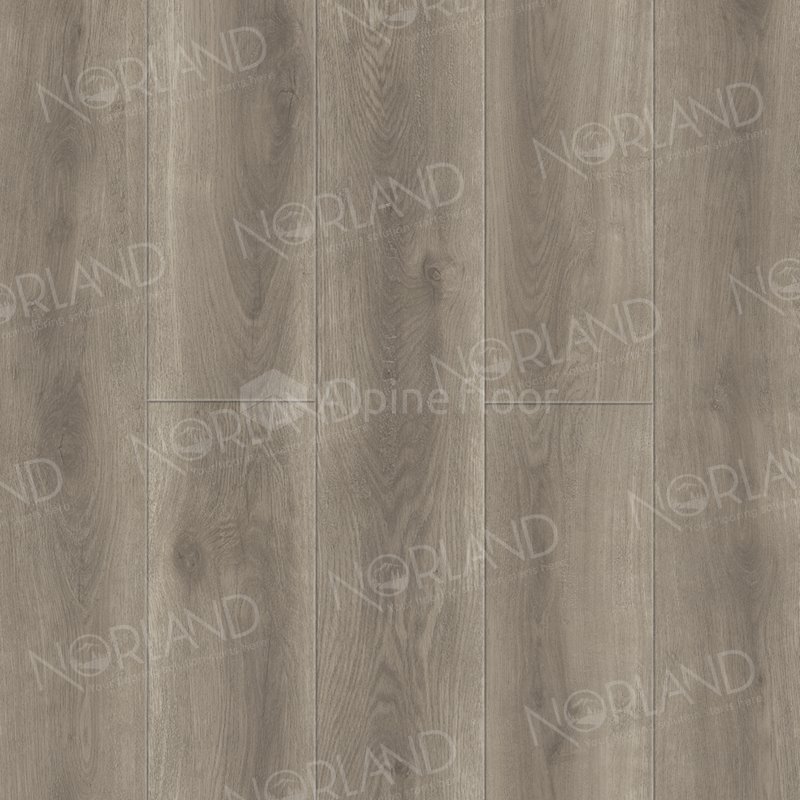 SPC Ламинат "Norland" Templet (1220*196*8 мм) — купить в Белгороде