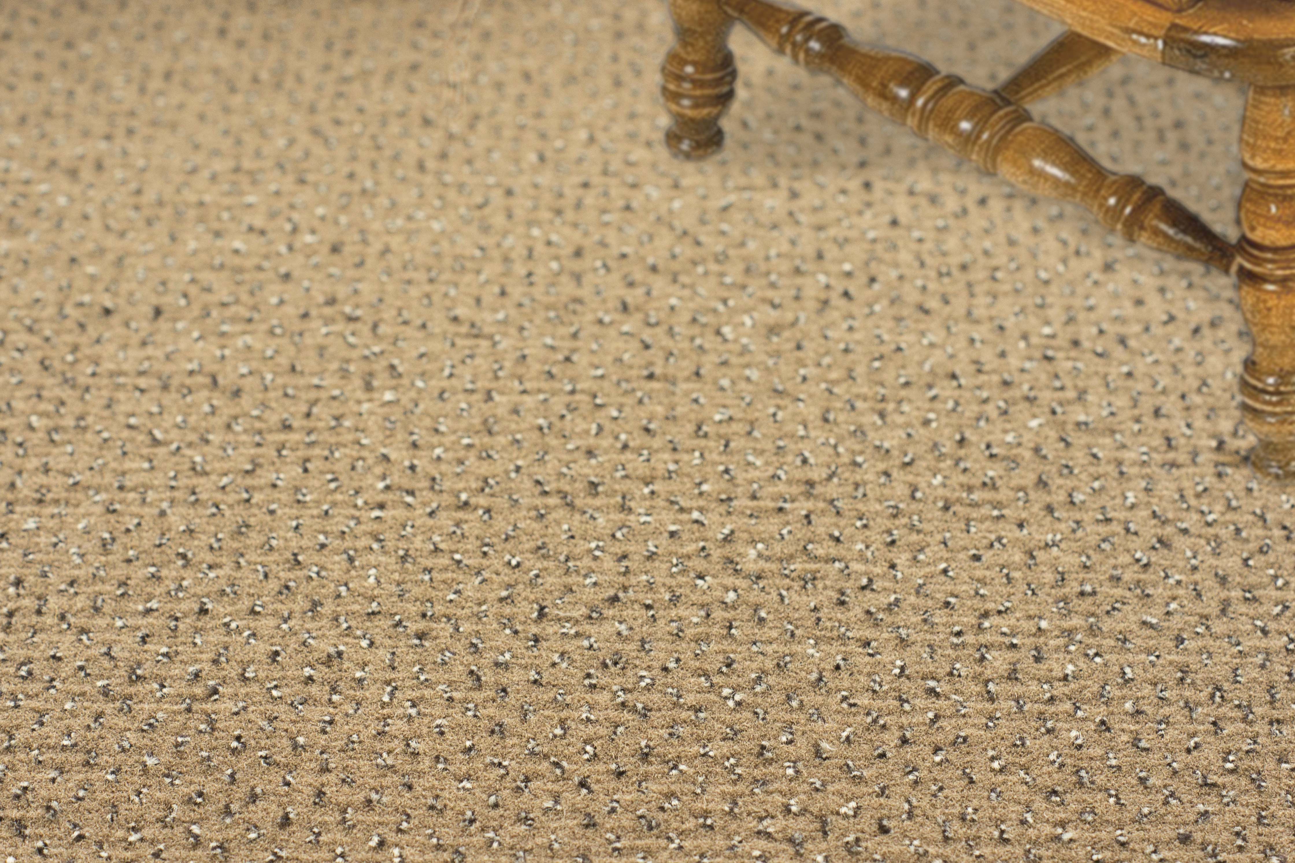 Ковролин "Зартекс" Eternity 142 бежевый (4м) — купить в Белгороде