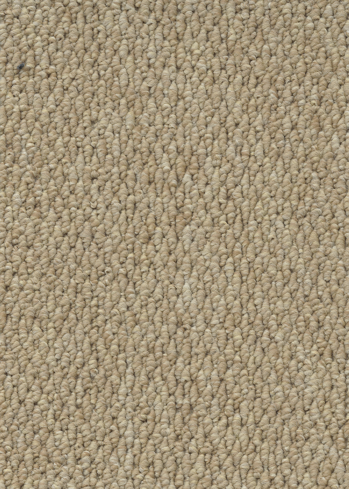 Ковровое покрытие "Bonkeel" Skye 50 (ширина 4м) — купить в Белгороде