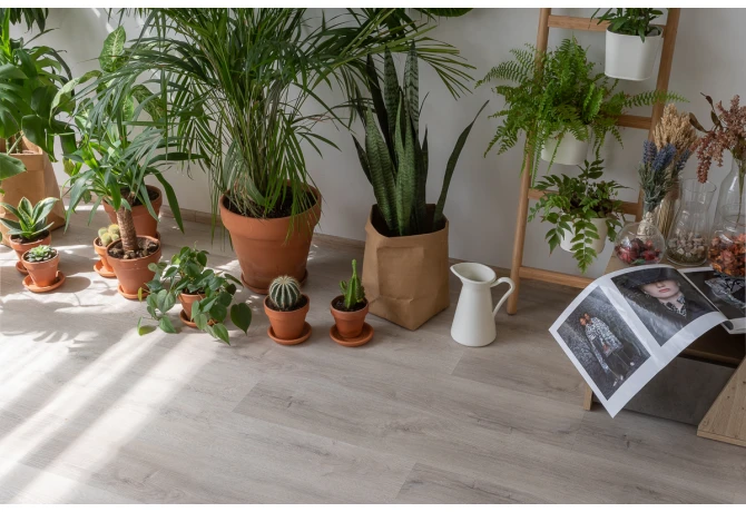 SPC ламинат Дуб Ален (1220*181*3,7 мм) — купить в Белгороде